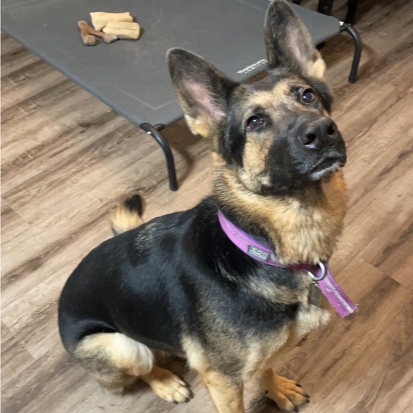 Meet your seller! ☺️🌸🎓📚👗 - Picture 3 of 3